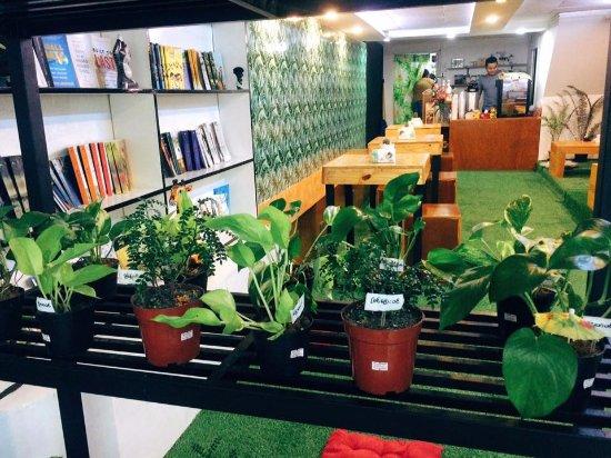 The Plant House Cafe